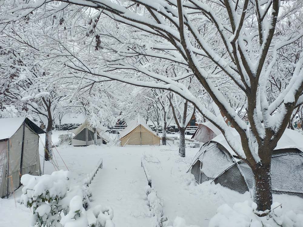 횡성산울림오토캠핑장 이미지