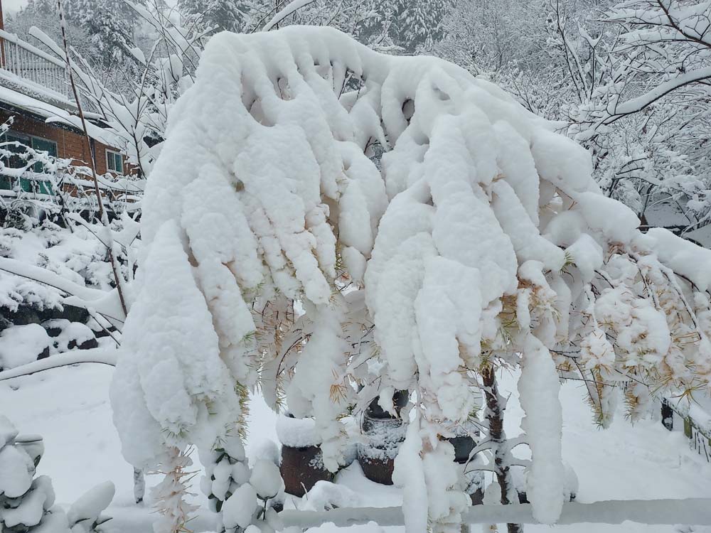 횡성산울림오토캠핑장 이미지