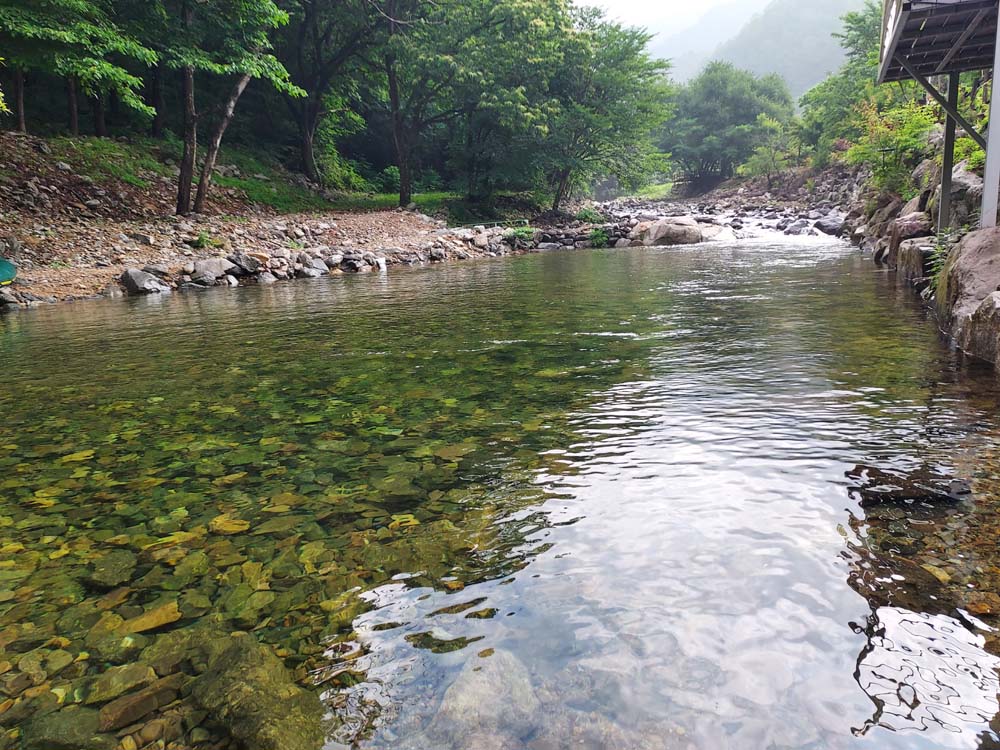 횡성산울림오토캠핑장 이미지
