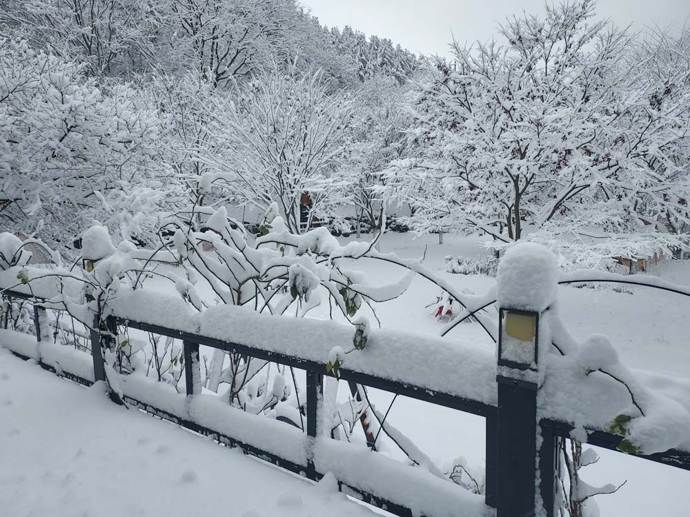 횡성산울림오토캠핑장 이미지