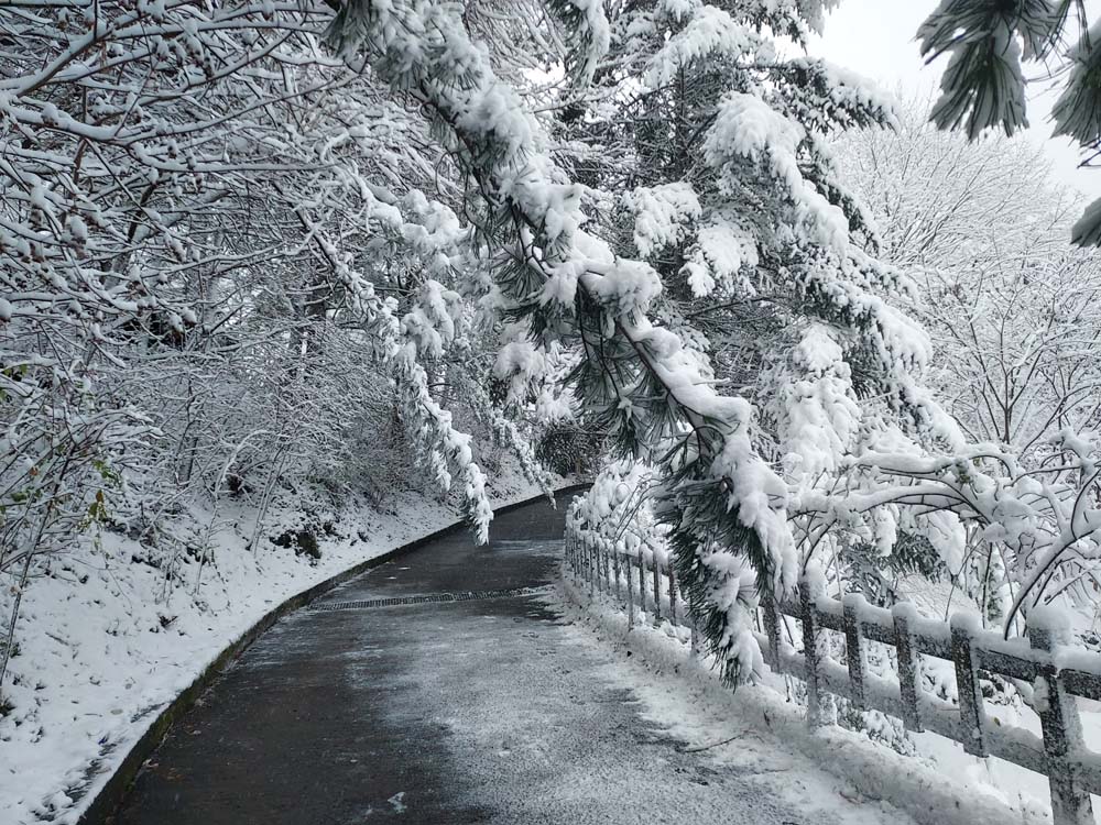 횡성산울림오토캠핑장 이미지
