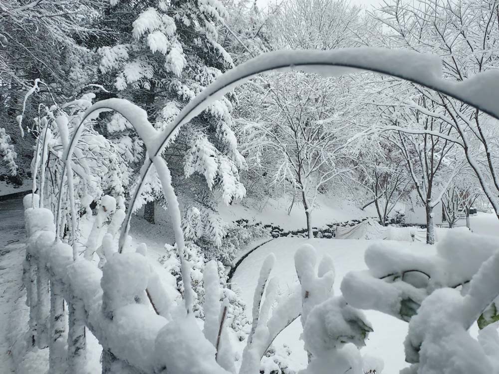 횡성산울림오토캠핑장 이미지