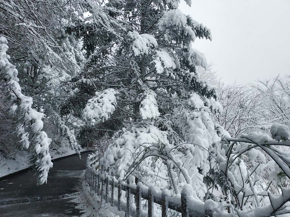 횡성산울림오토캠핑장 이미지