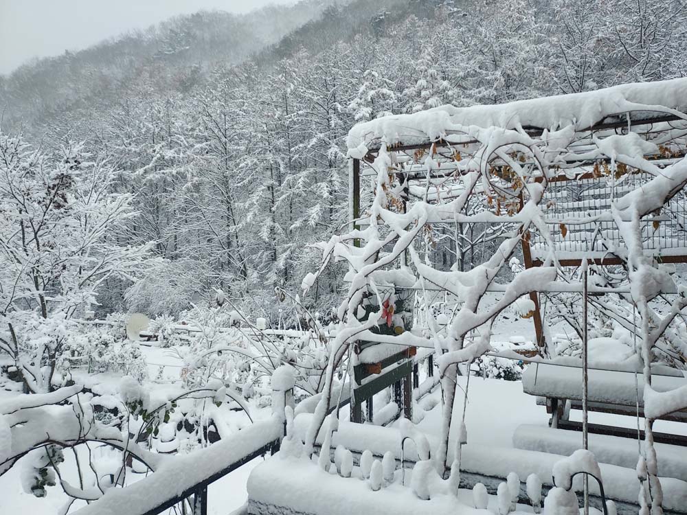 횡성산울림오토캠핑장 이미지