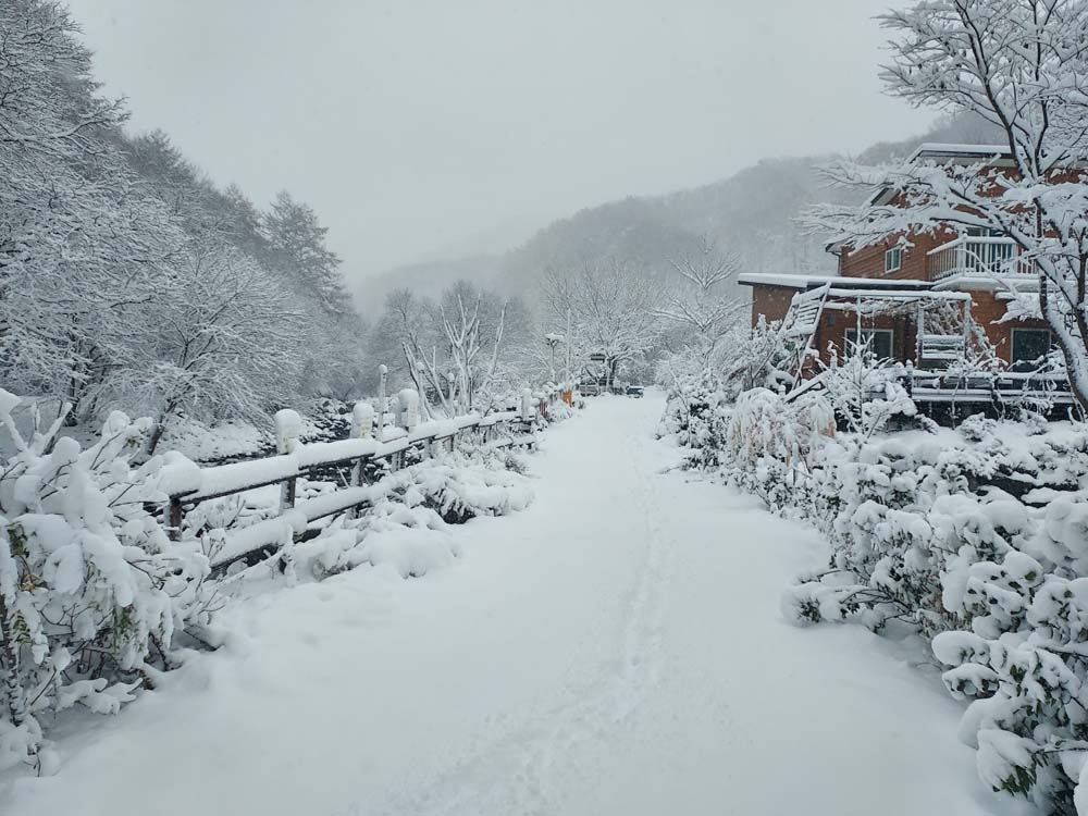 횡성산울림오토캠핑장 이미지