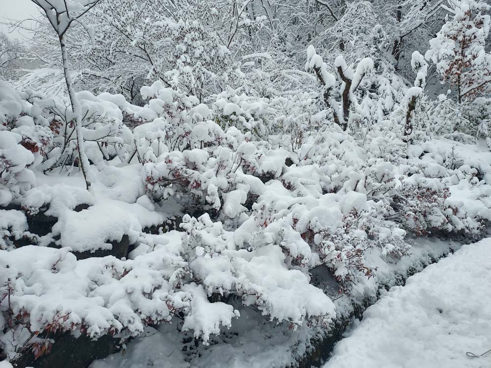 횡성산울림오토캠핑장 이미지