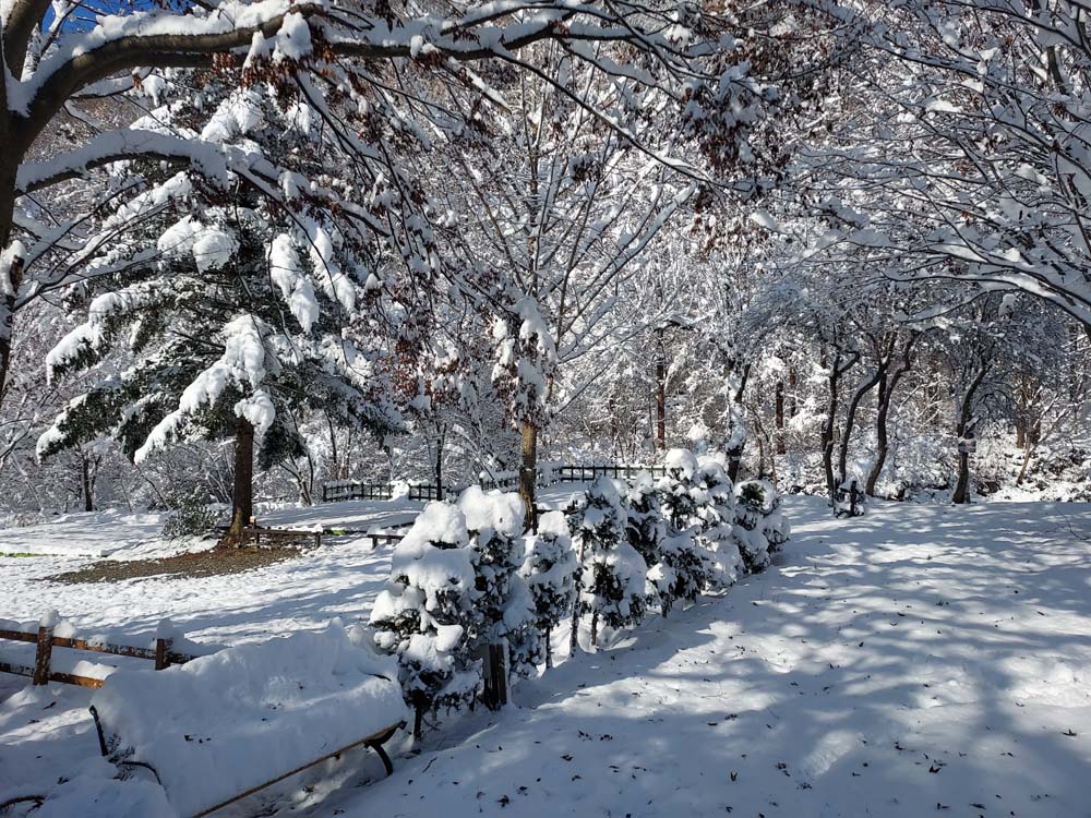 횡성산울림오토캠핑장 이미지