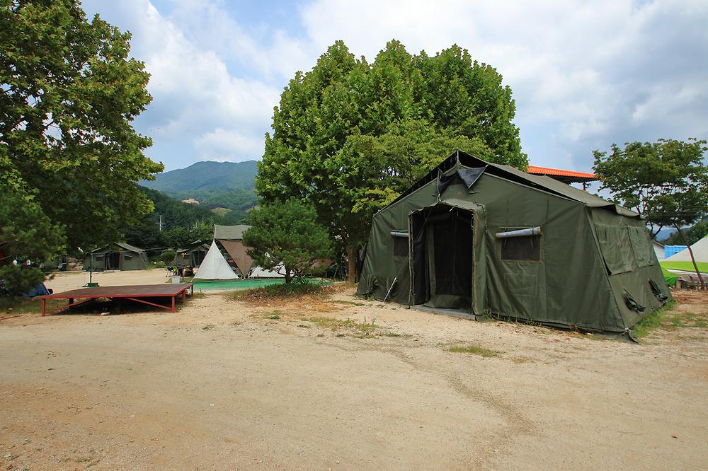 Camp 1950
