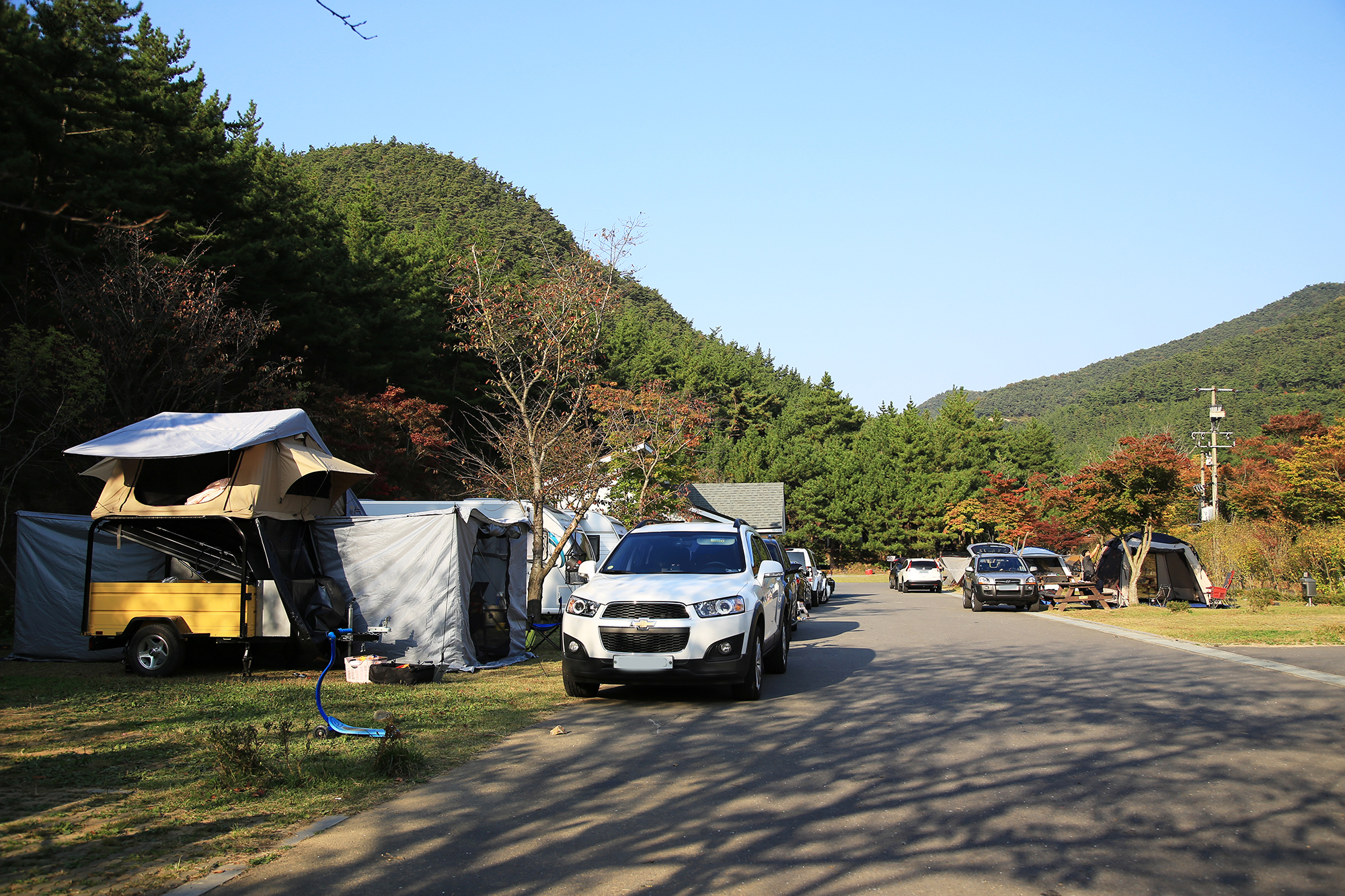 희리산해송자연휴양림 자동차야영장 이미지