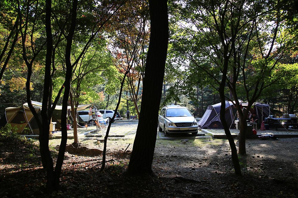 희리산해송자연휴양림 자동차야영장