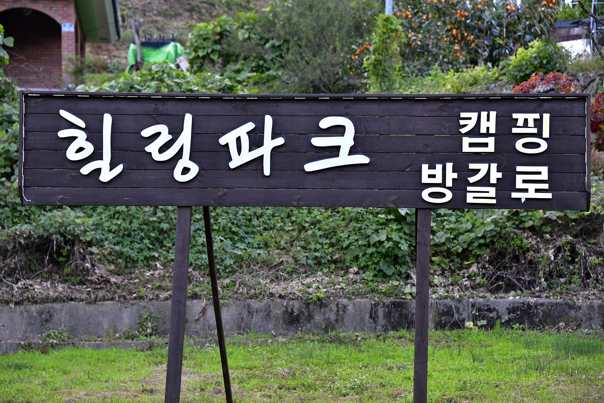 힐링파크 이미지