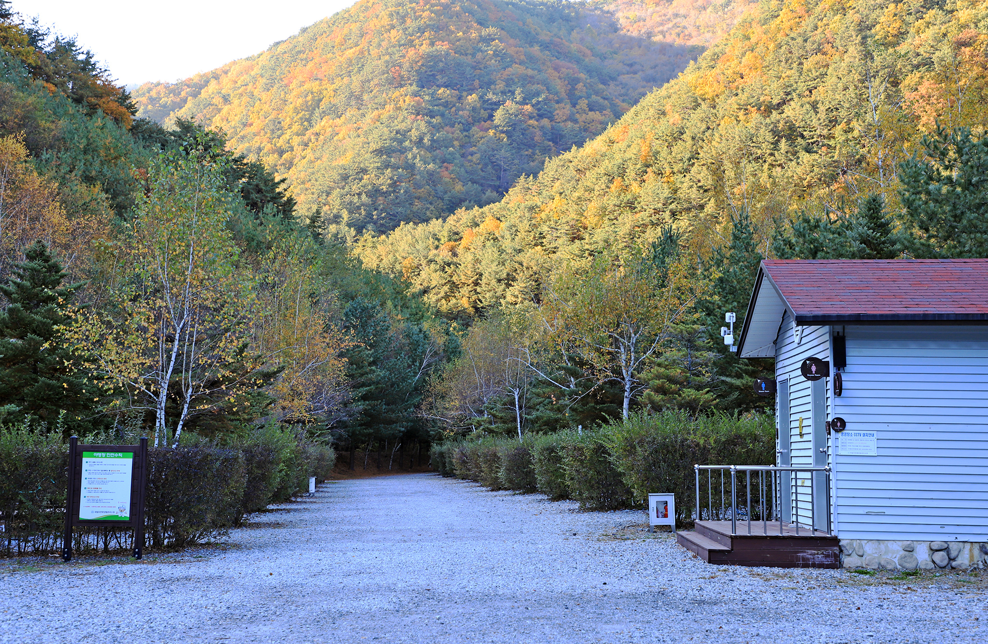 국립가리왕산자연휴양림 이미지