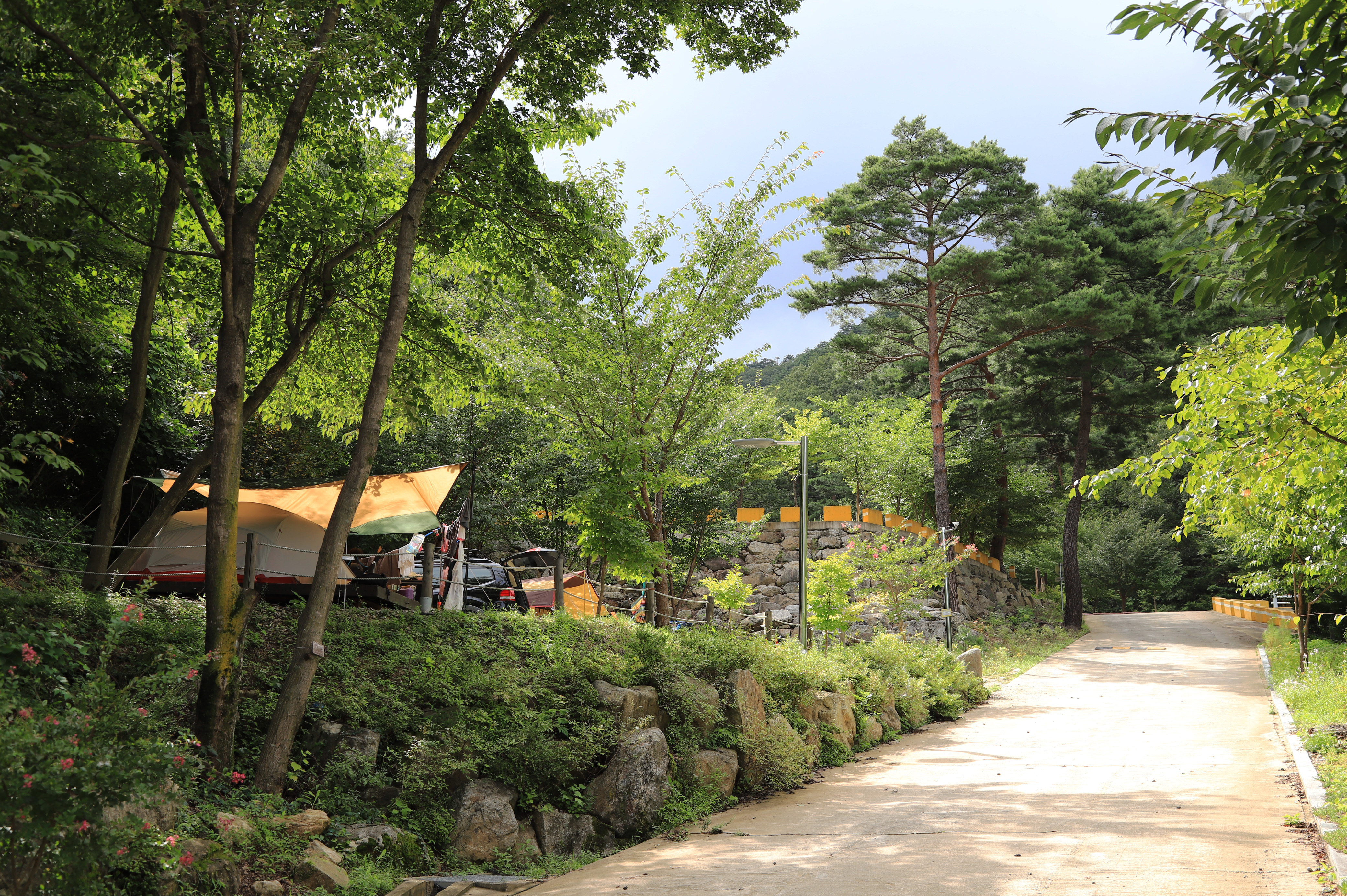 국립검봉산자연휴양림야영장 이미지
