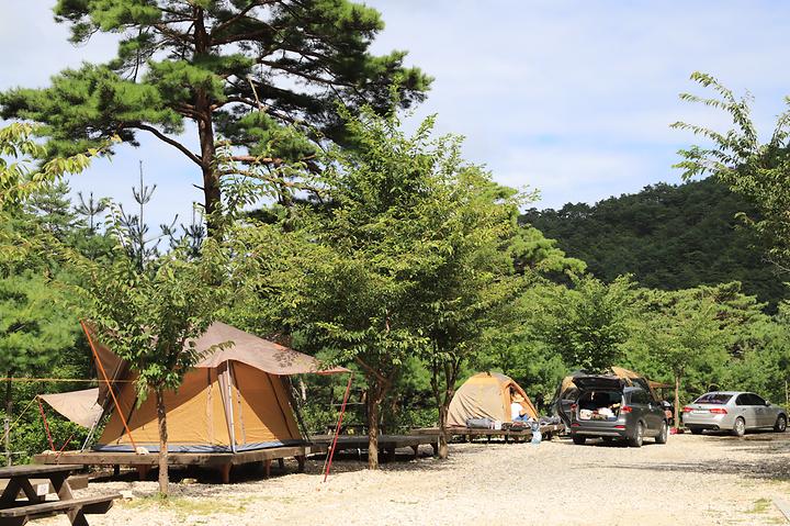 숲속 동키마을 캠핑장