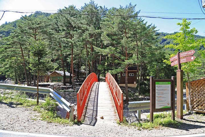 산디마을 생태공원 캠핑장