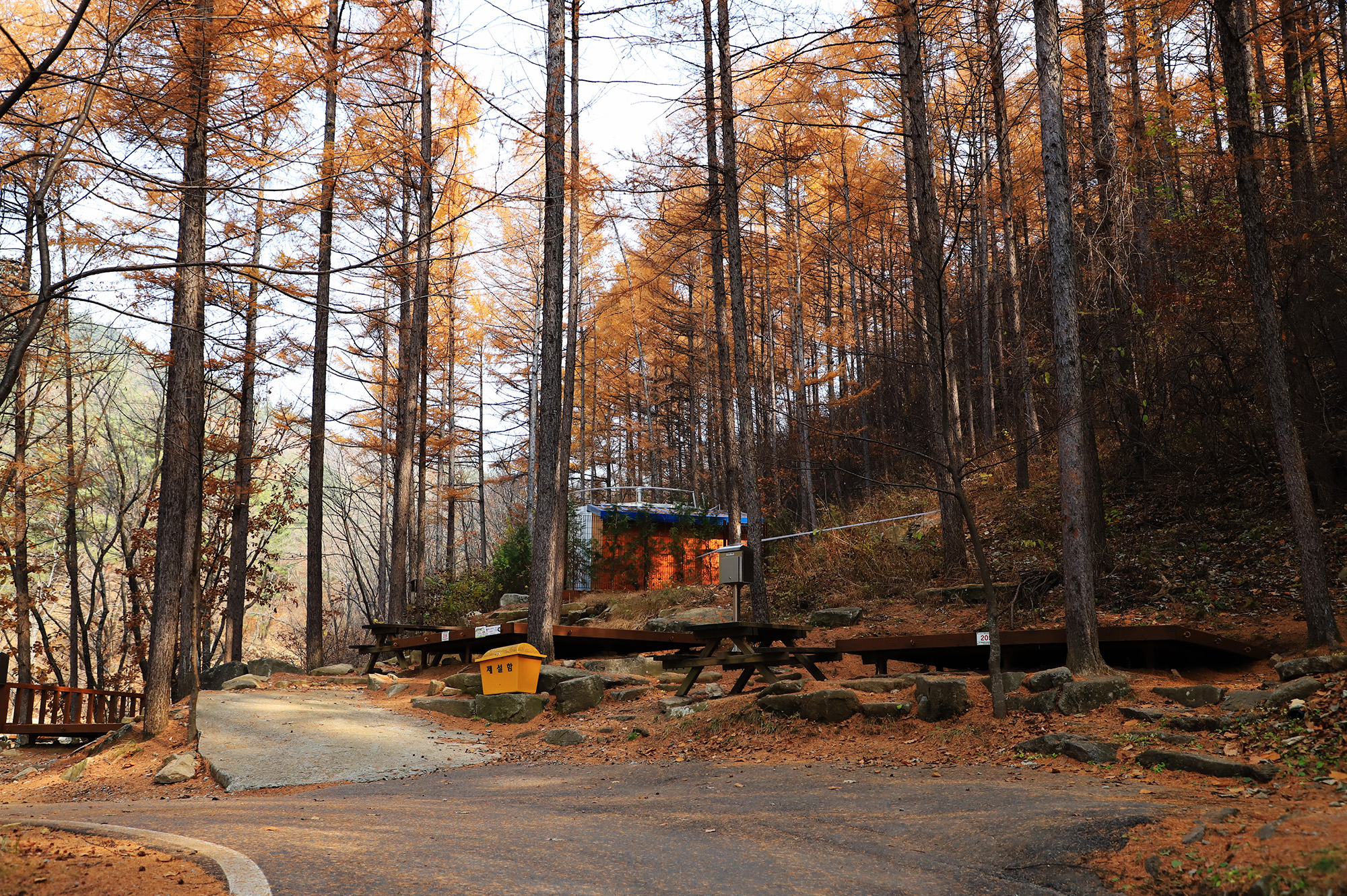 국립용화산자연휴양림 이미지