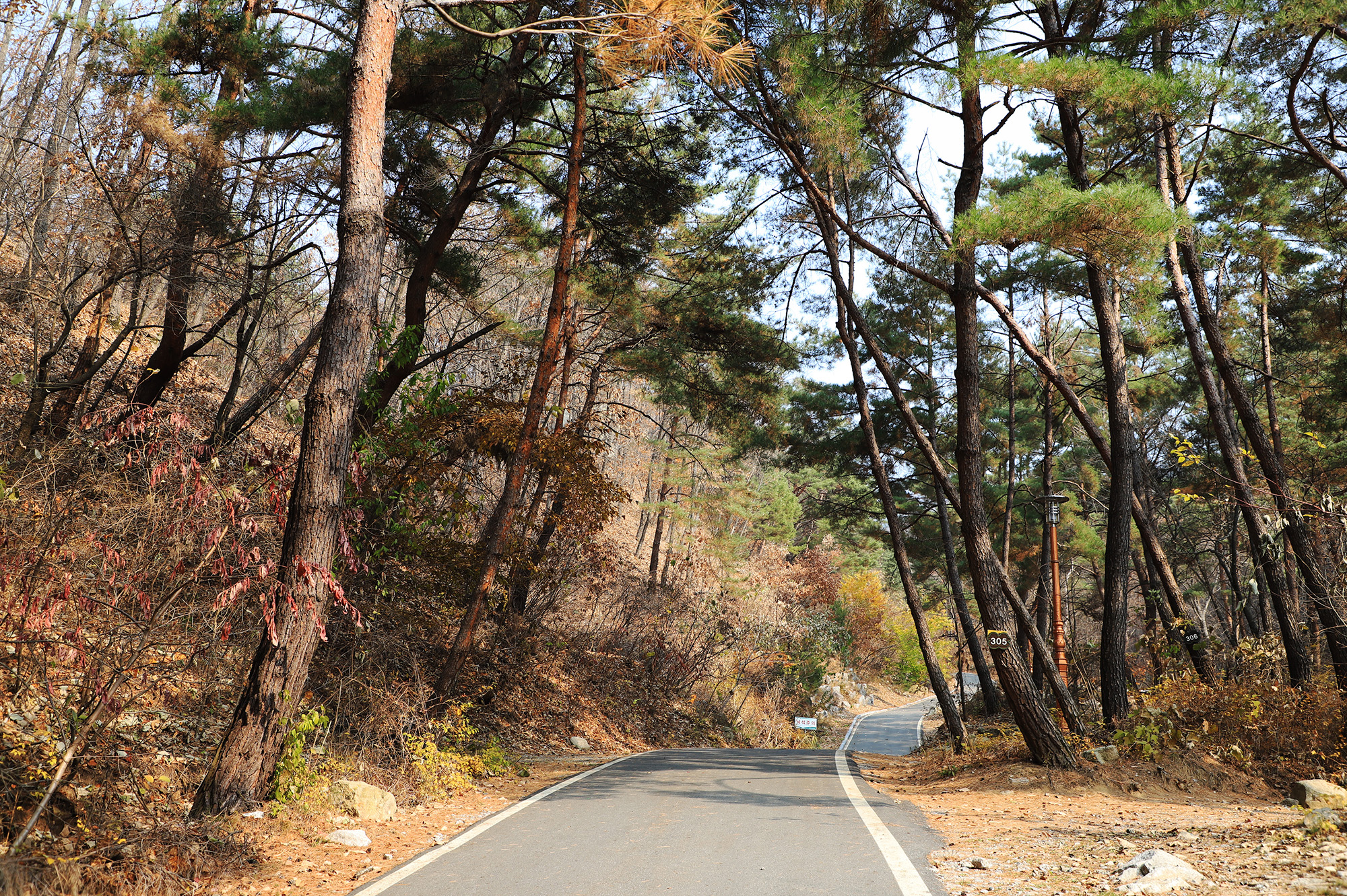 국립용화산자연휴양림 이미지