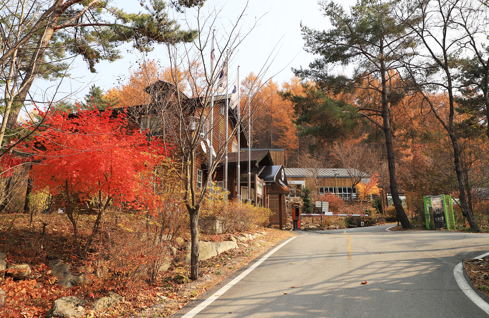 국립용화산자연휴양림 이미지