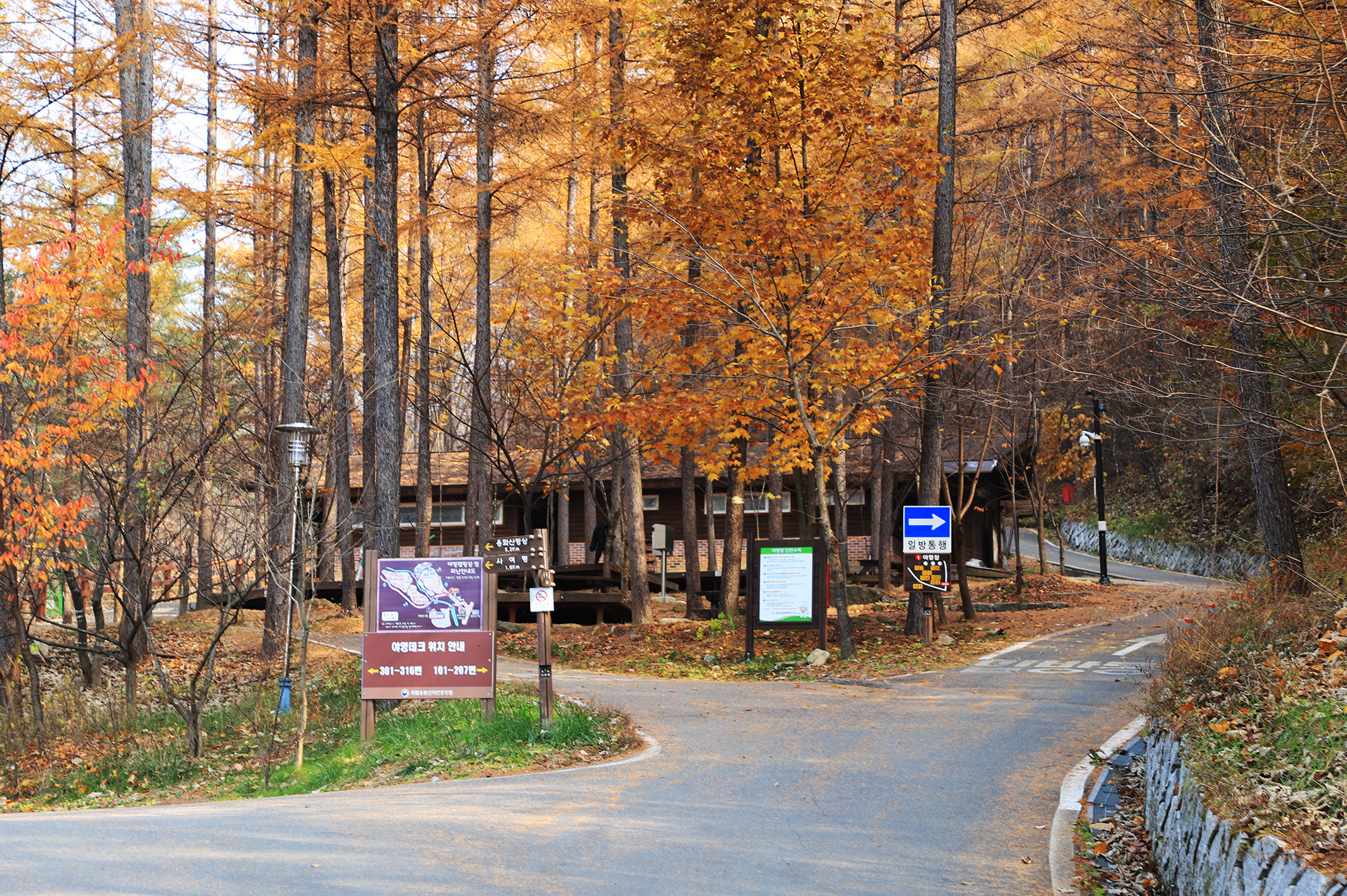 국립용화산자연휴양림 이미지