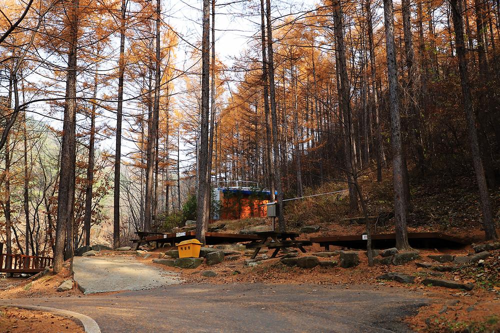 국립용화산자연휴양림