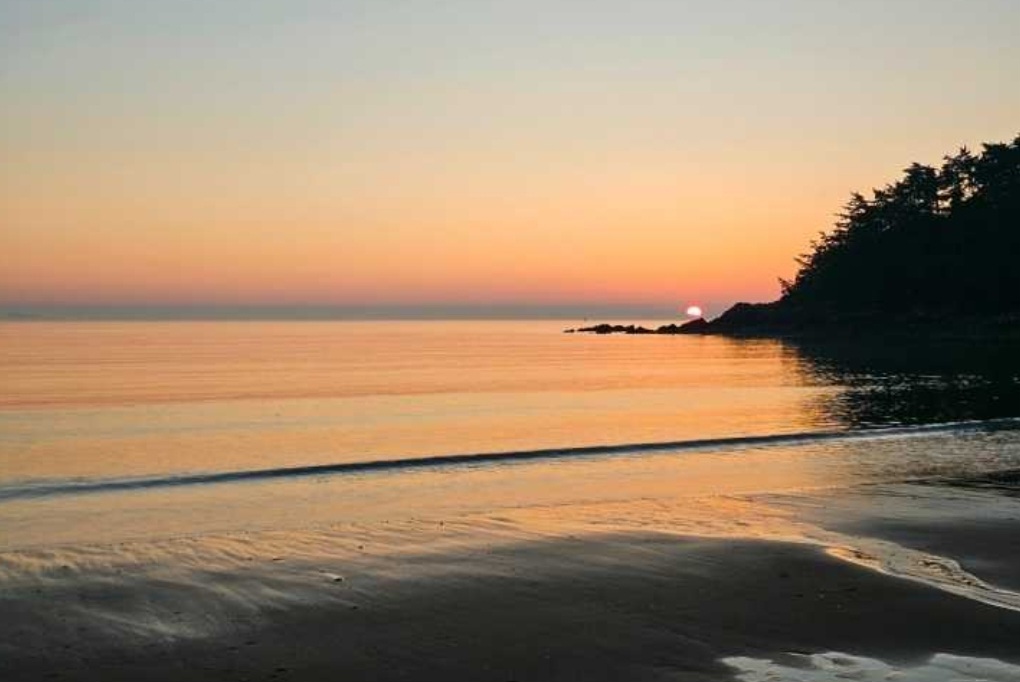 굼벵이캠핑장 이미지