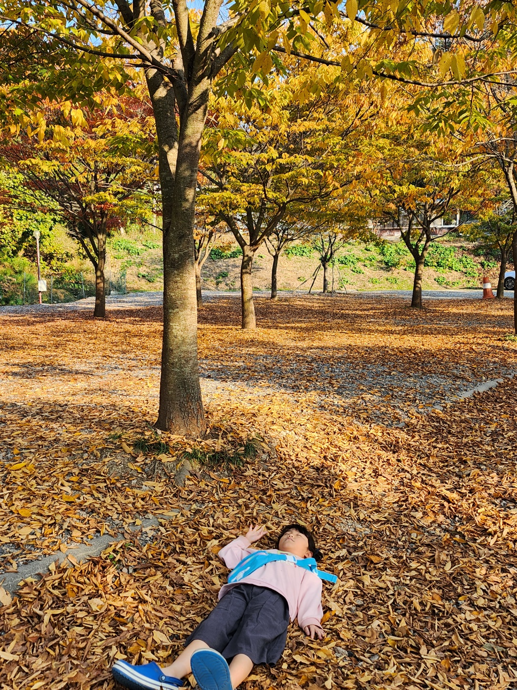 굼벵이캠핑장 이미지