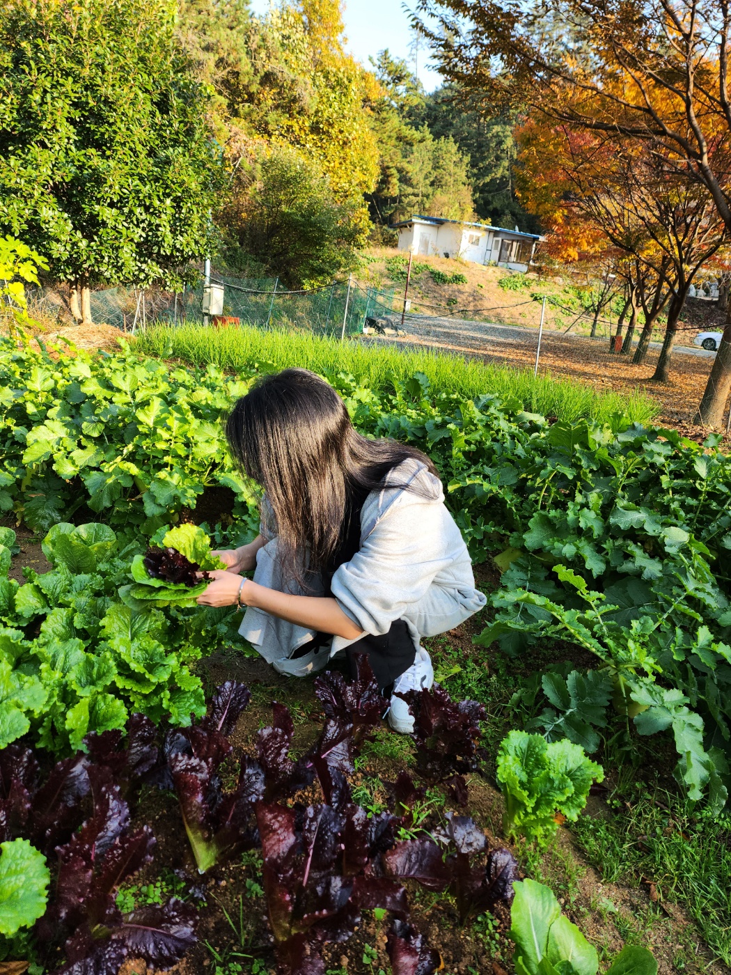 굼벵이캠핑장 이미지
