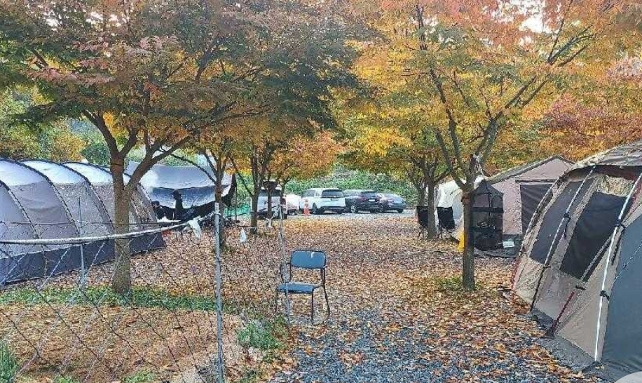 굼벵이캠핑장 이미지