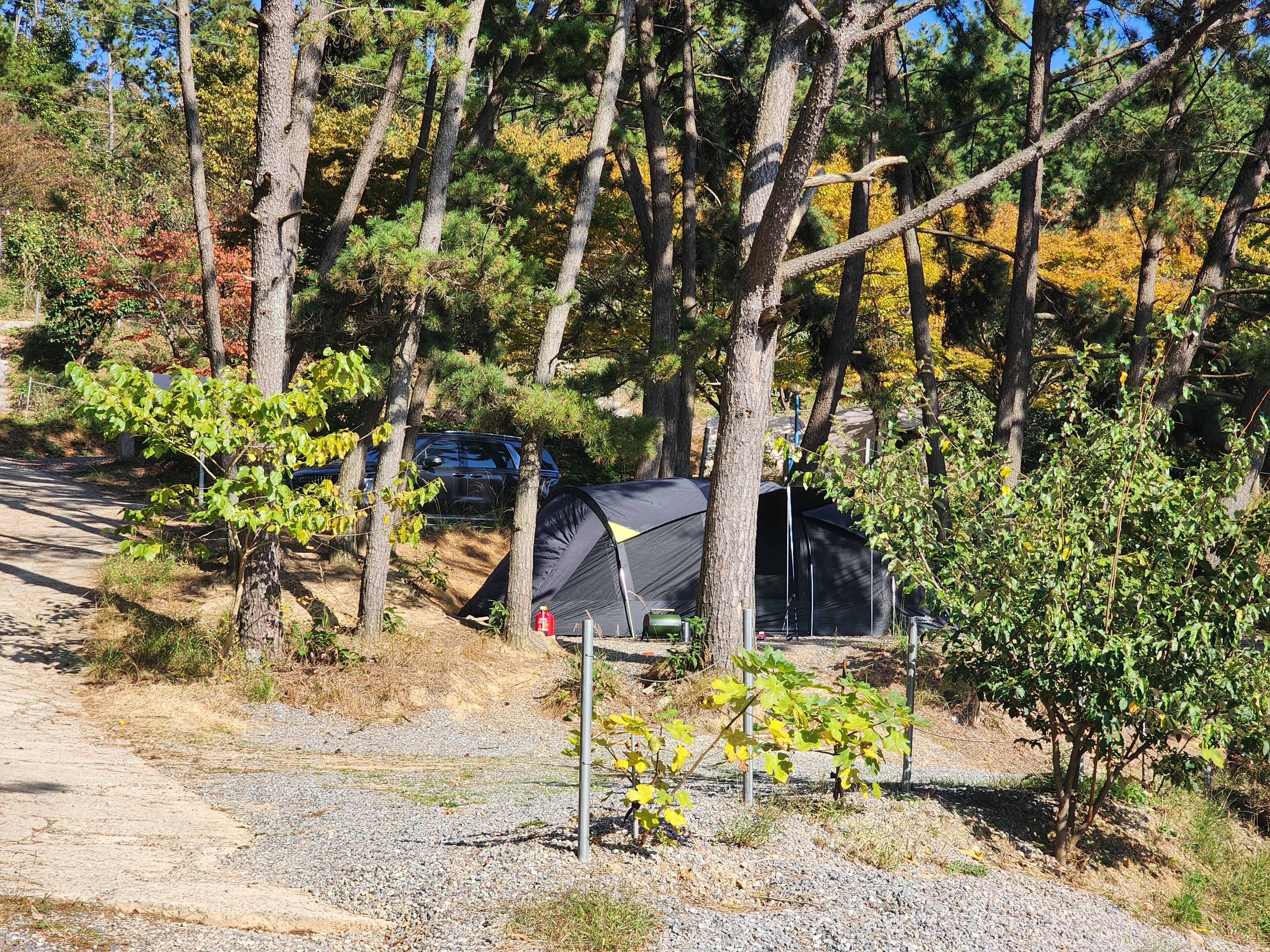 굼벵이캠핑장 이미지