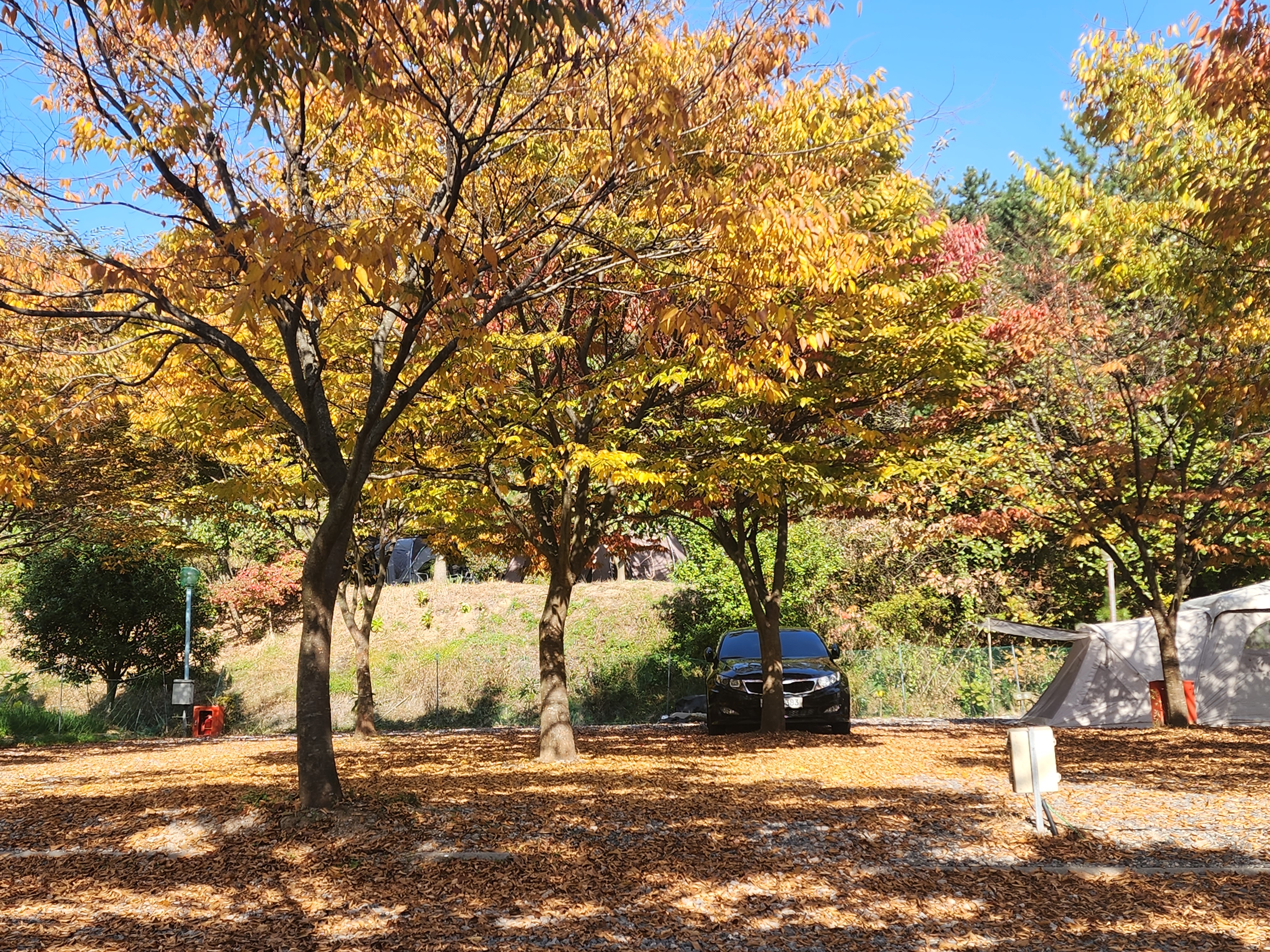 굼벵이캠핑장 이미지