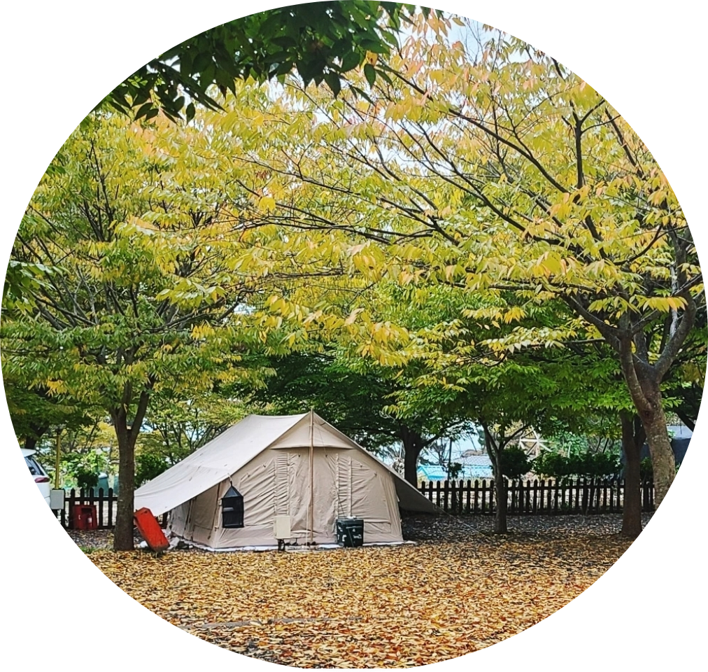 굼벵이캠핑장 이미지