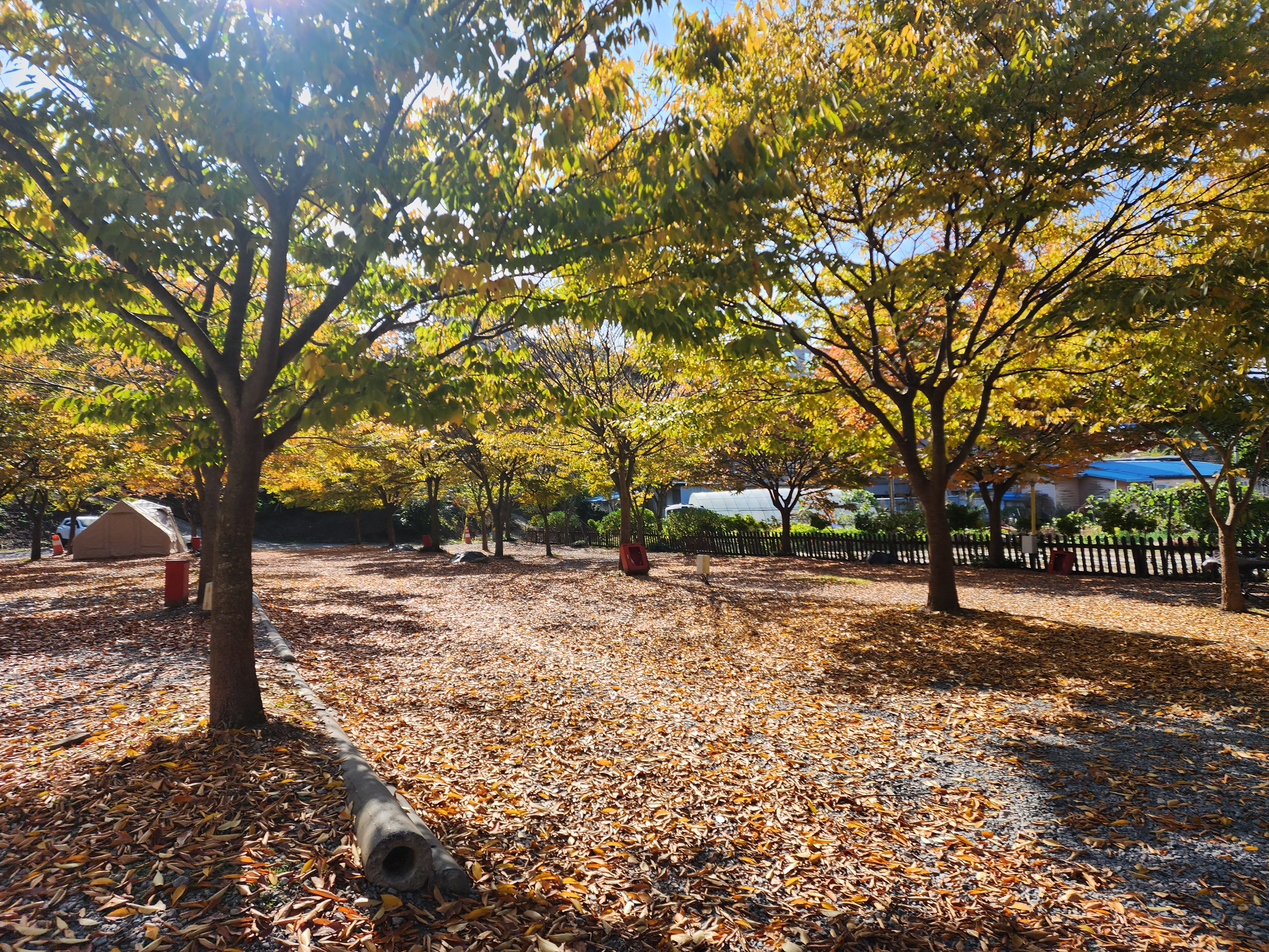 굼벵이캠핑장 이미지