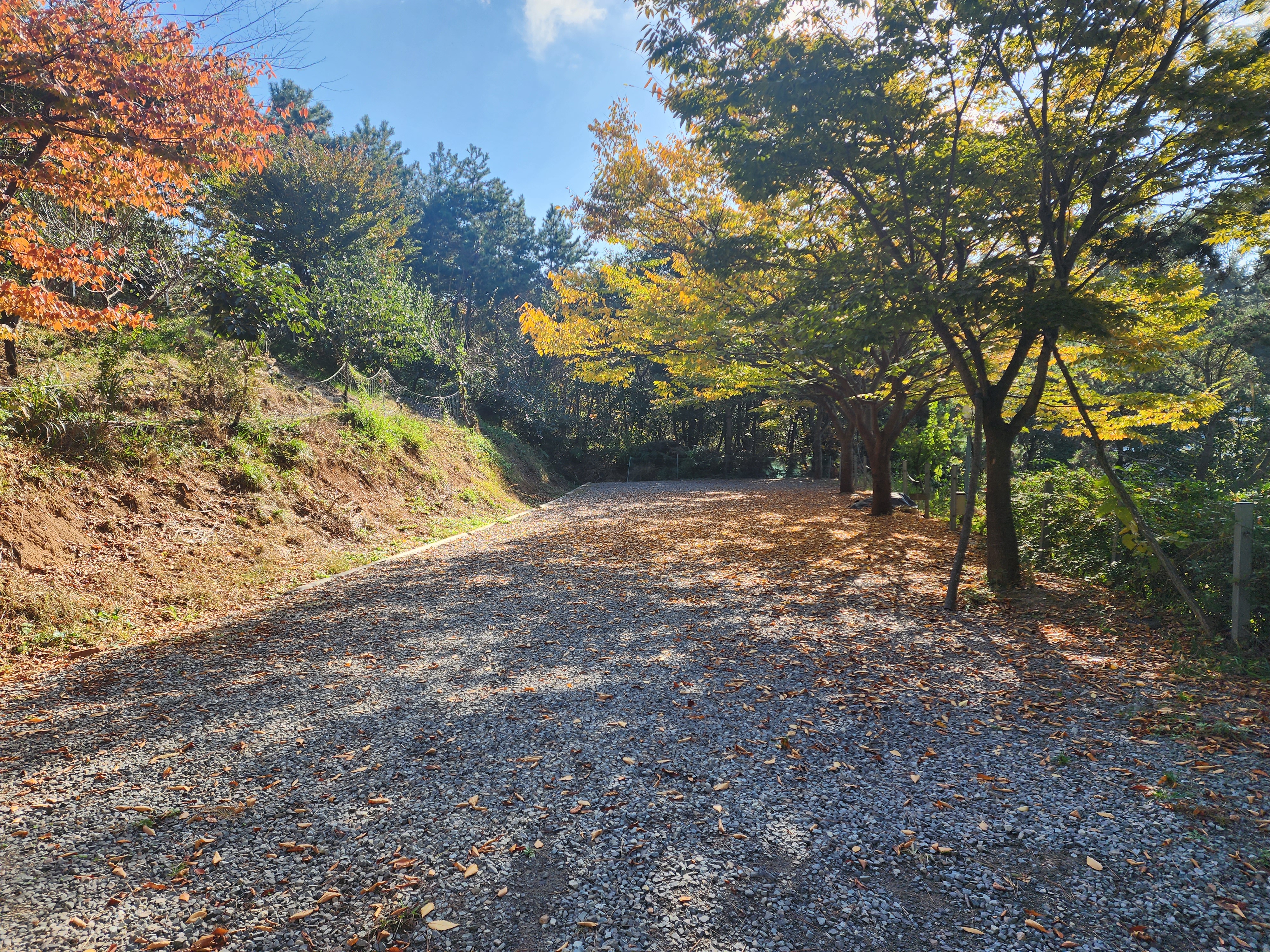 굼벵이캠핑장 이미지