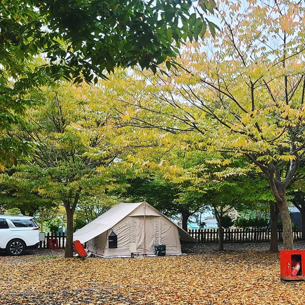 굼벵이캠핑장 이미지