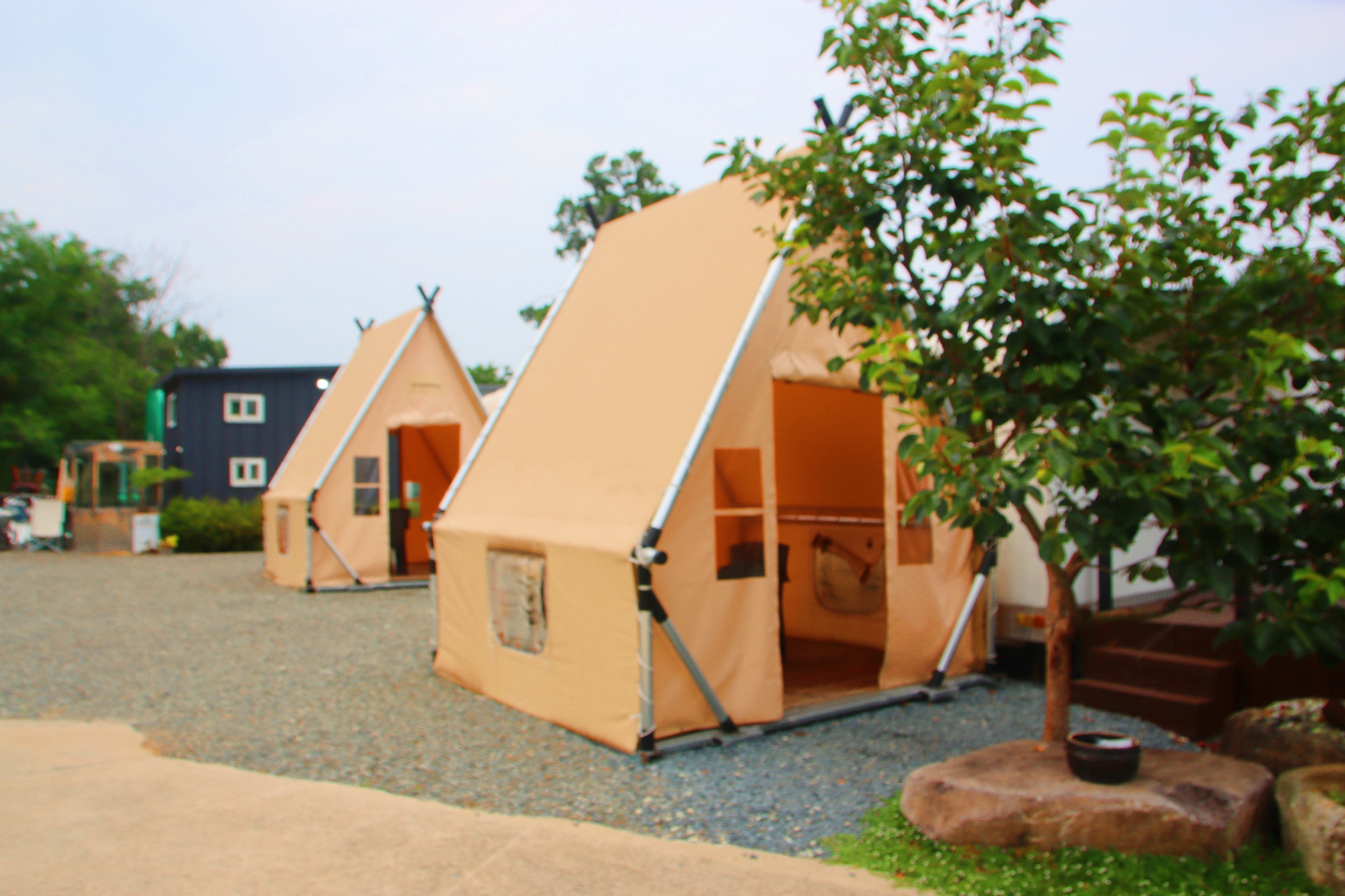 금박산관광농원 14번째 이미지