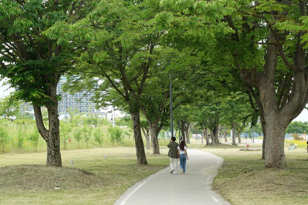 금은모래 캠핑장