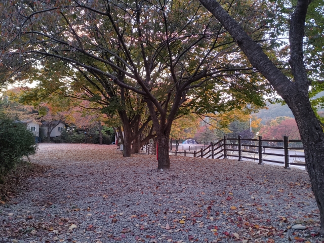 기산골캠핑장 16번째 이미지