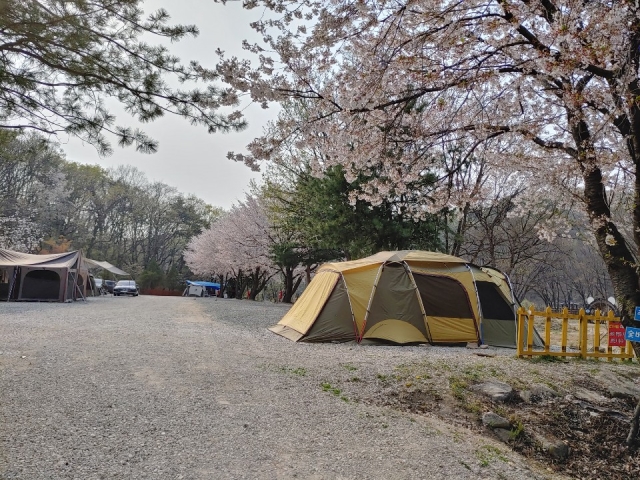 기산골캠핑장 15번째 이미지