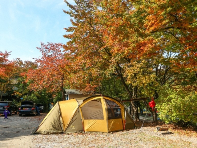 기산골캠핑장 19번째 이미지