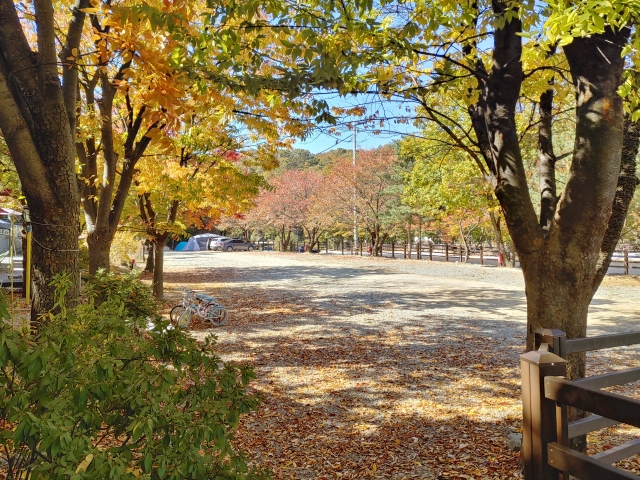 기산골캠핑장 21번째 이미지