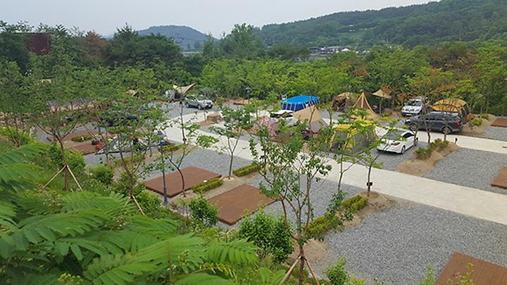 대둔산자연휴양림캠핑장 (진산자연휴양림캠핑장)
