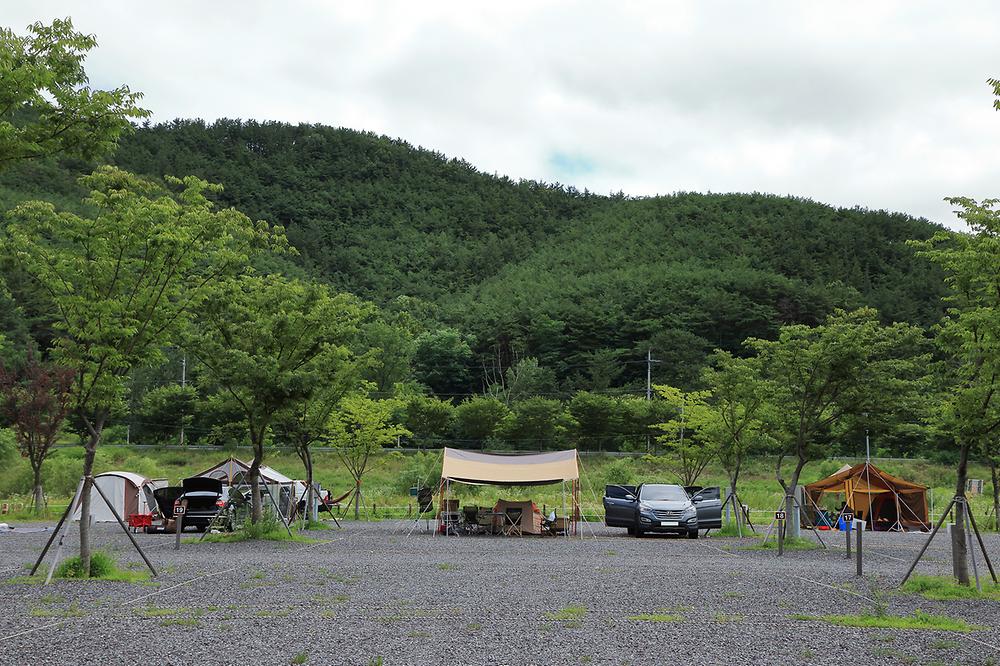 낙동강 레포츠밸리 강변오토캠핑장 이미지