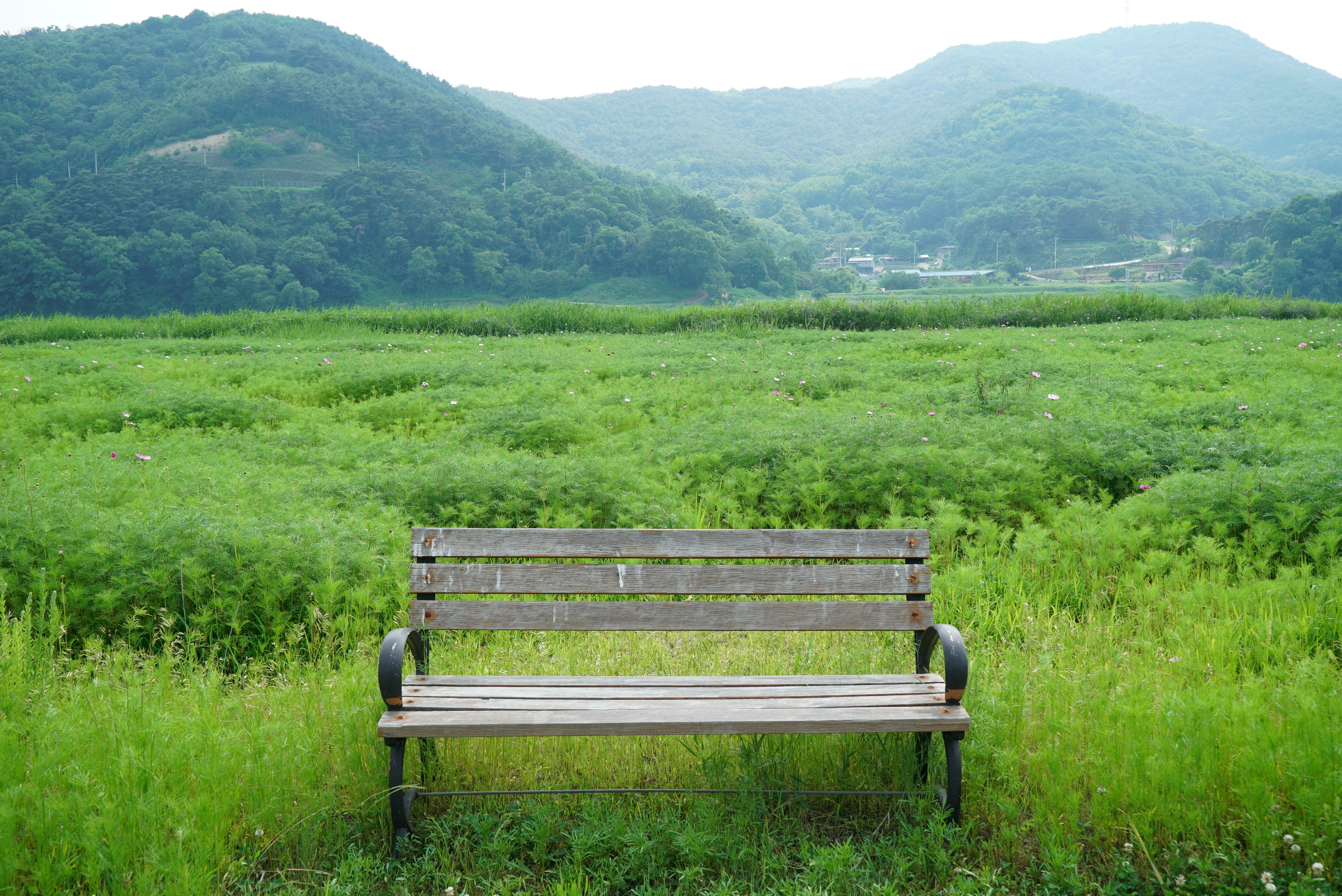 낙동강 레포츠밸리 강변오토캠핑장 16번째 이미지