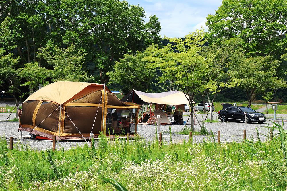 낙동강 레포츠밸리 강변오토캠핑장 이미지