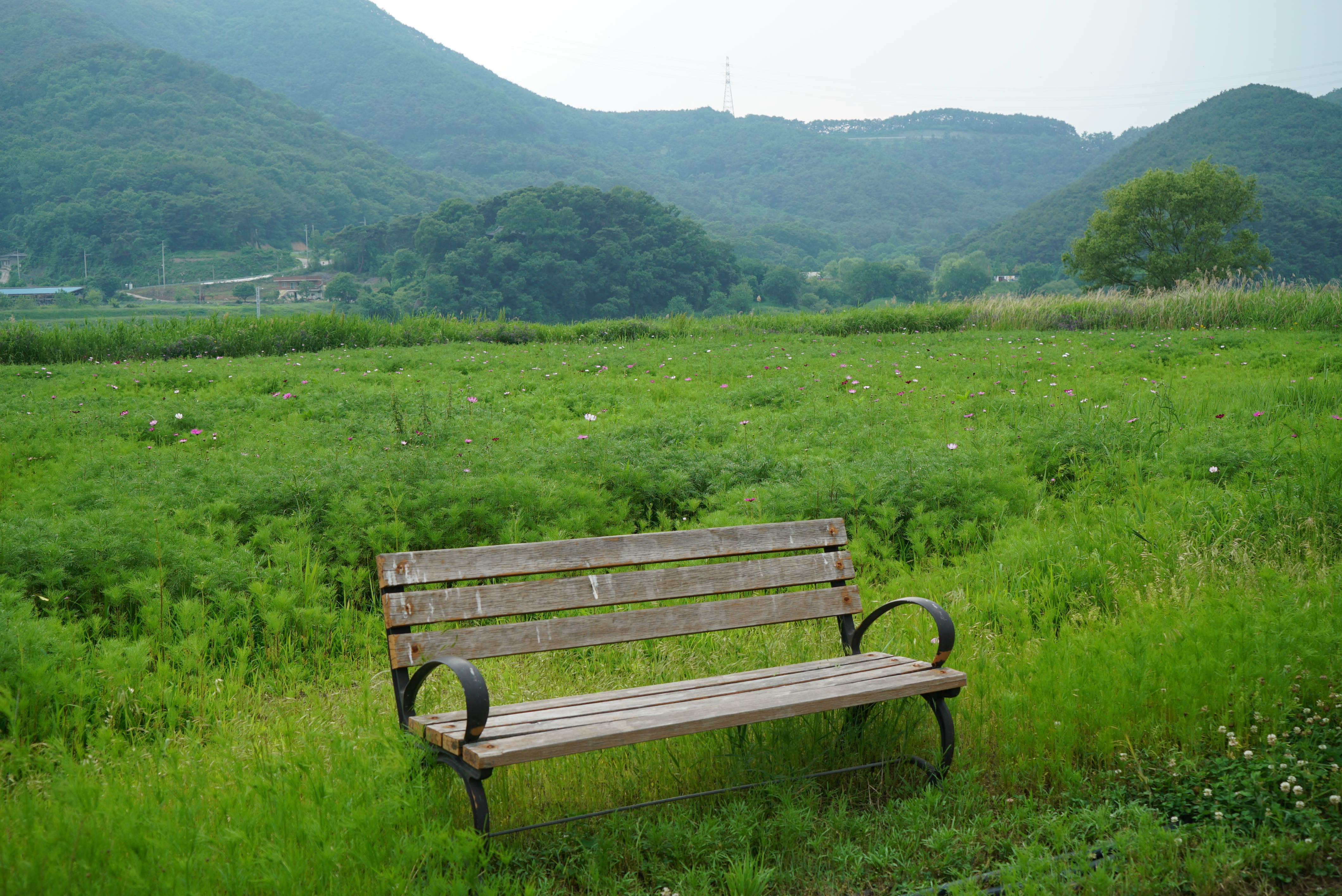 낙동강 레포츠밸리 강변오토캠핑장 12번째 이미지