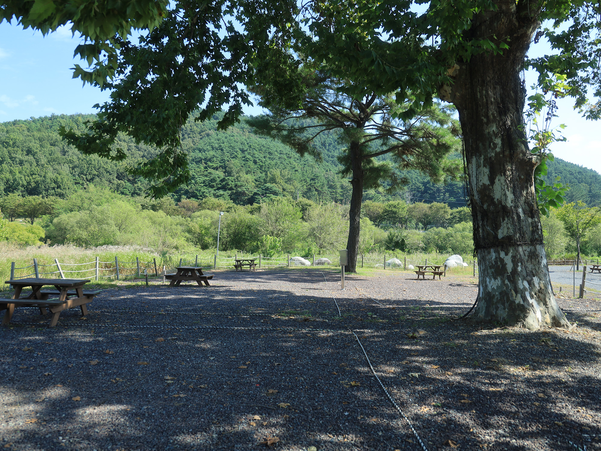 낙동강 레포츠밸리 강변오토캠핑장 이미지