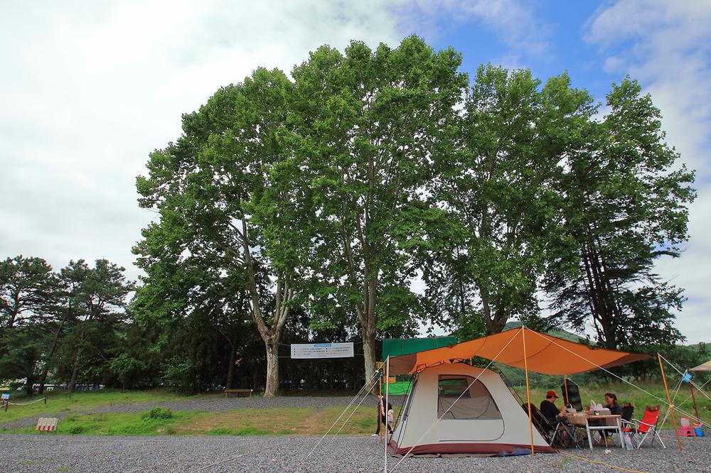 낙동강 레포츠밸리 강변오토캠핑장 이미지