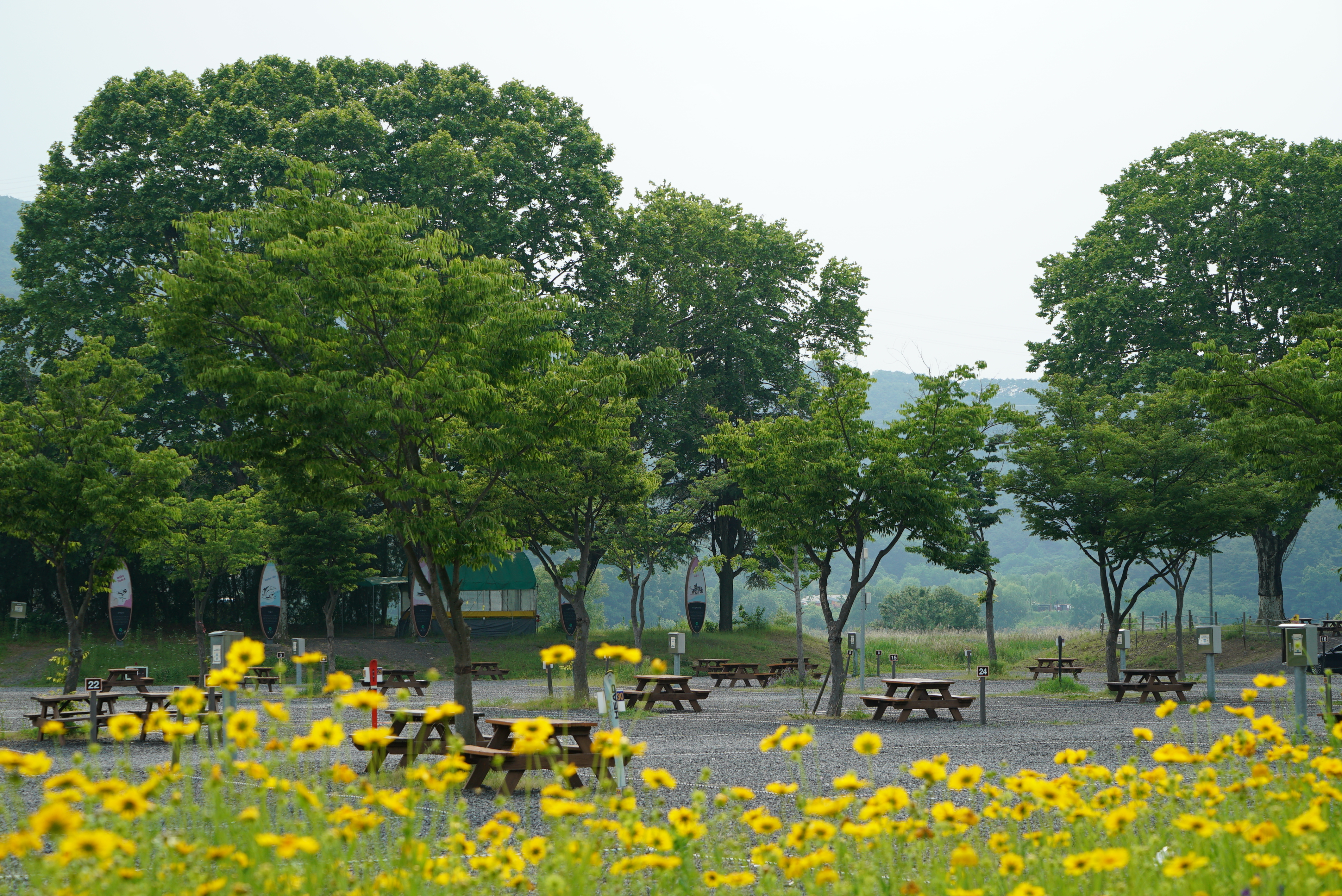 낙동강 레포츠밸리 강변오토캠핑장 9번째 이미지