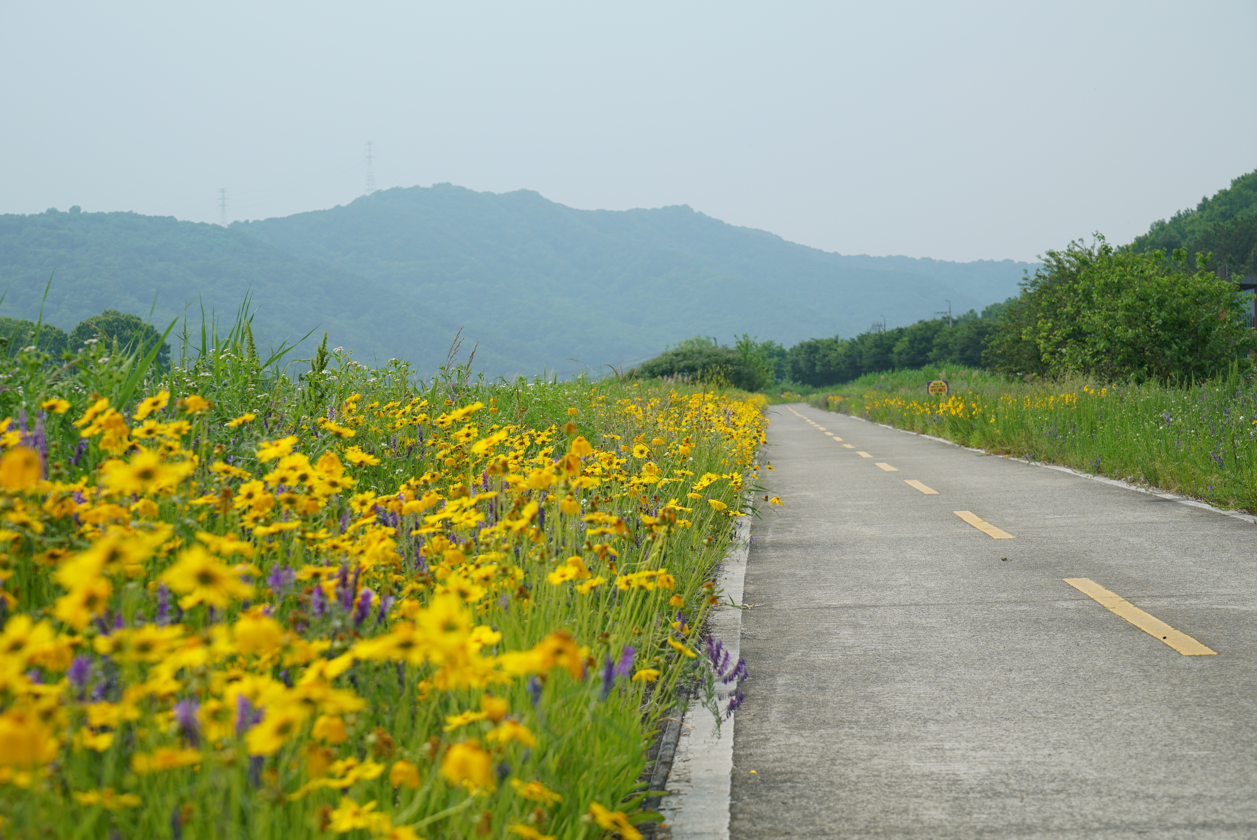 낙동강 레포츠밸리 강변오토캠핑장 18번째 이미지