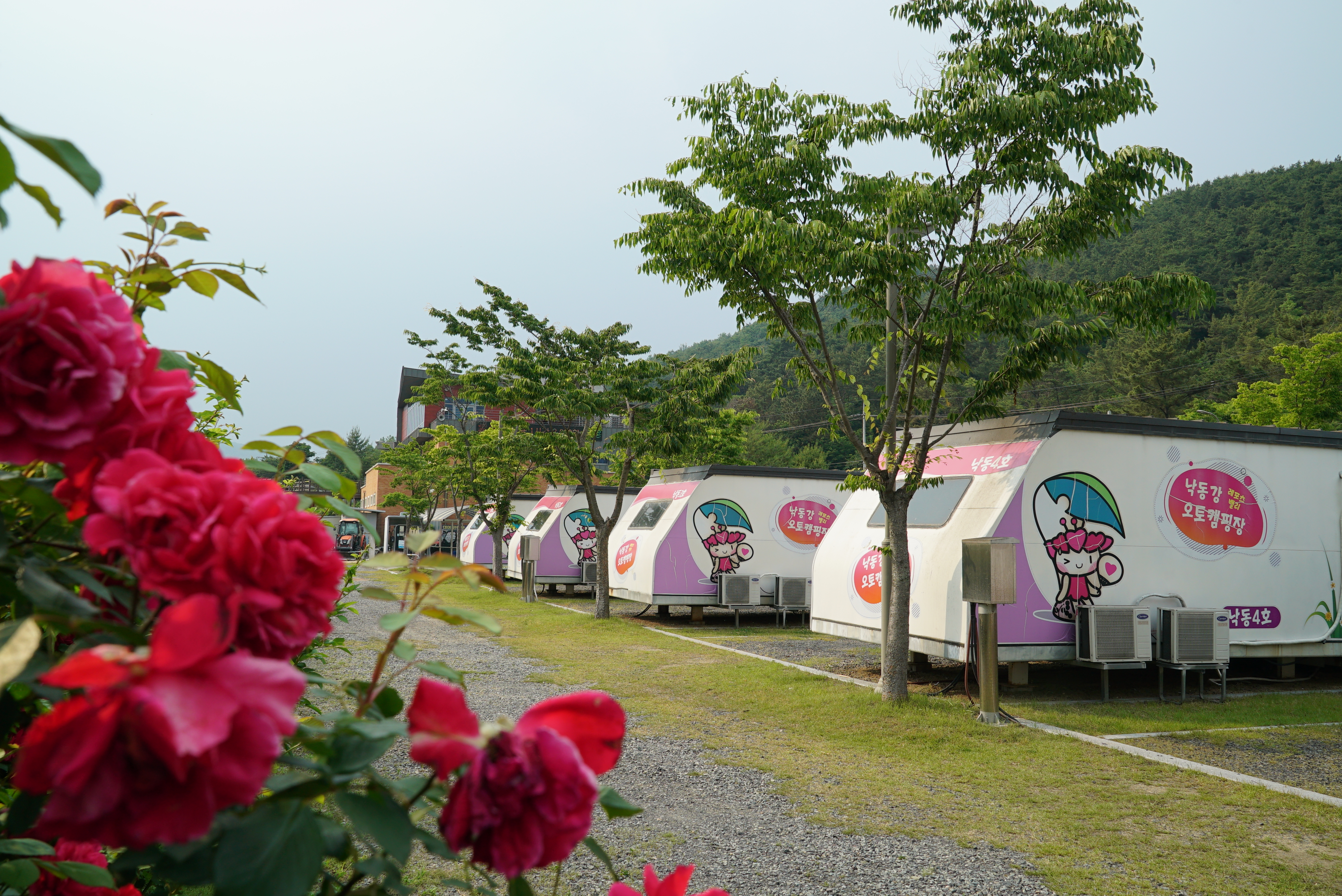 낙동강레포츠밸리 구지오토캠핑장 9번째 이미지